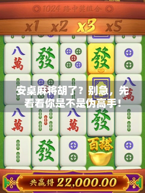 安桌麻将胡了？别急，先看看你是不是伪高手！