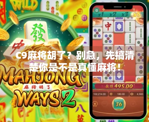 C9麻将胡了？别急，先搞清楚你是不是真懂麻将！